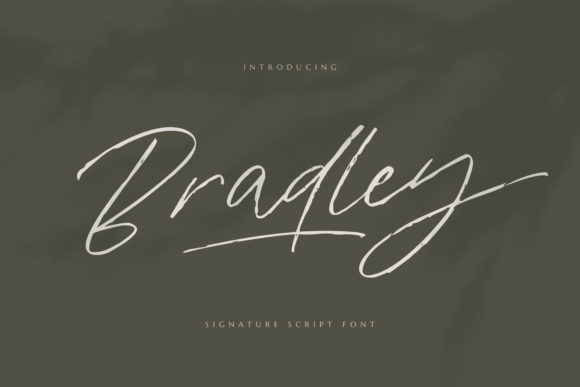 Bradley: The Font That Elevates Your Brand