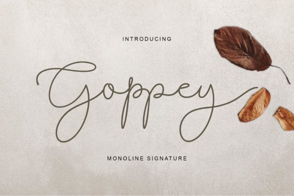 Goppey Font for a Polished Brand Look