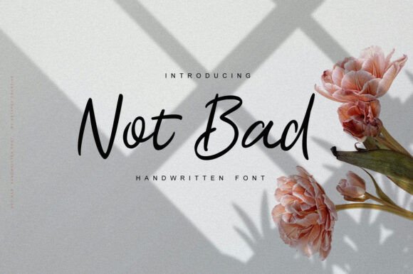 Not Bad Font: A Script That Speaks Volumes